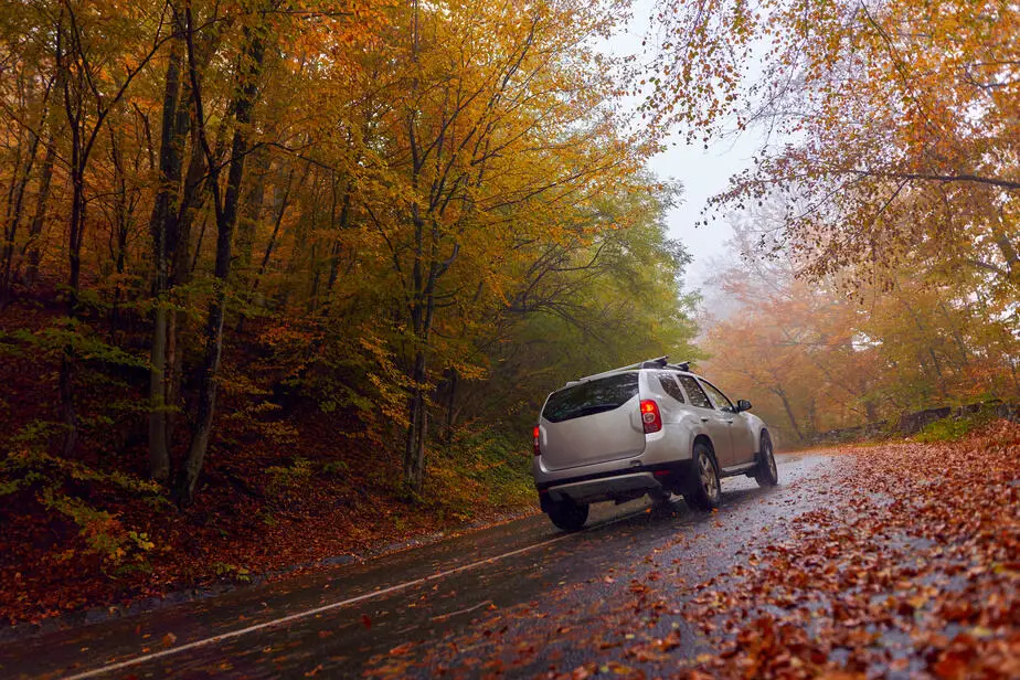 Grey Hatchback Car in the forest